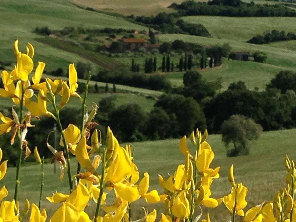 Agriturismo Santa Maria Pienza Extérieur photo