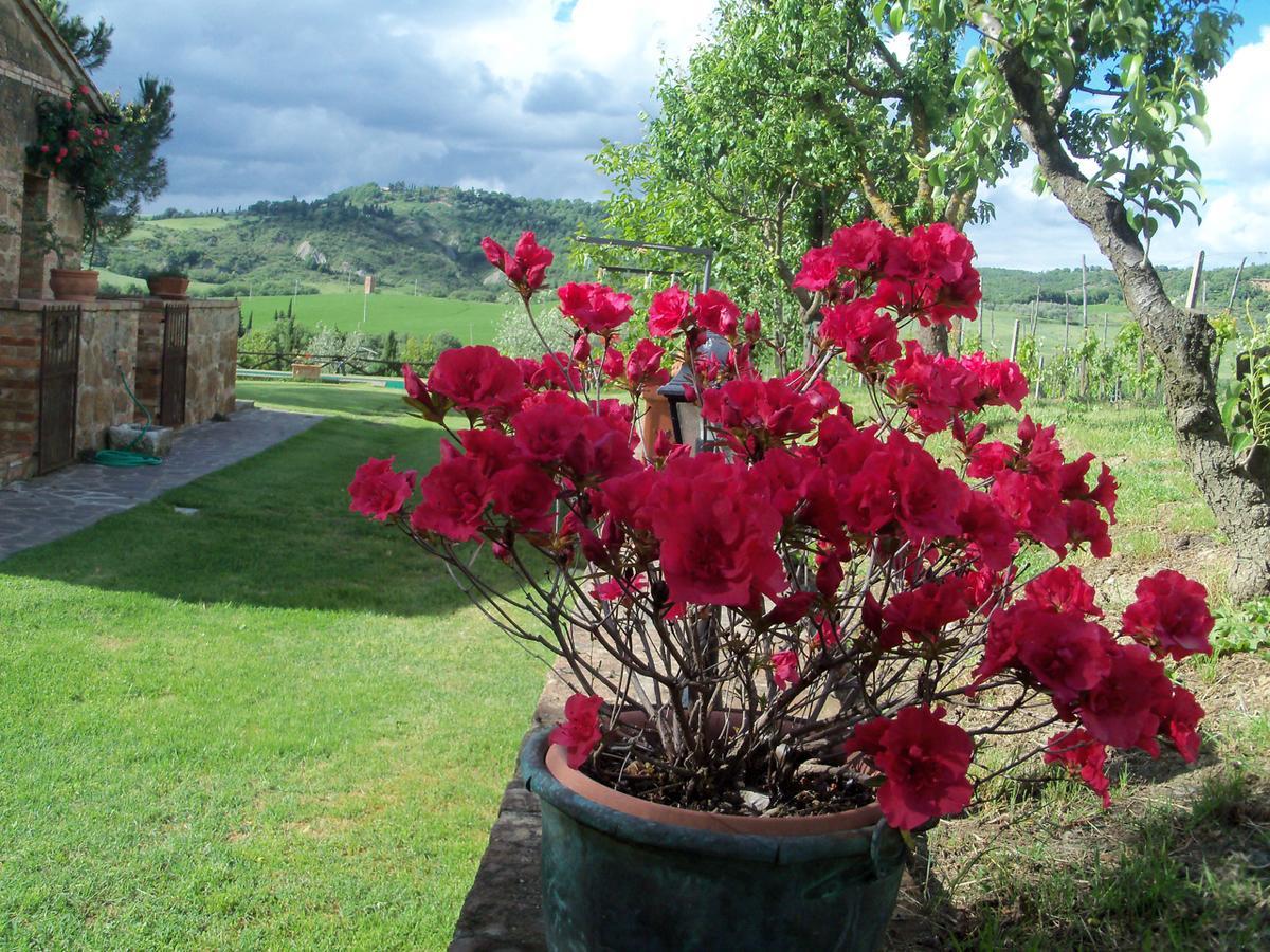 Agriturismo Santa Maria Pienza Extérieur photo